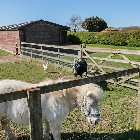 Beaver بيت للعطل *